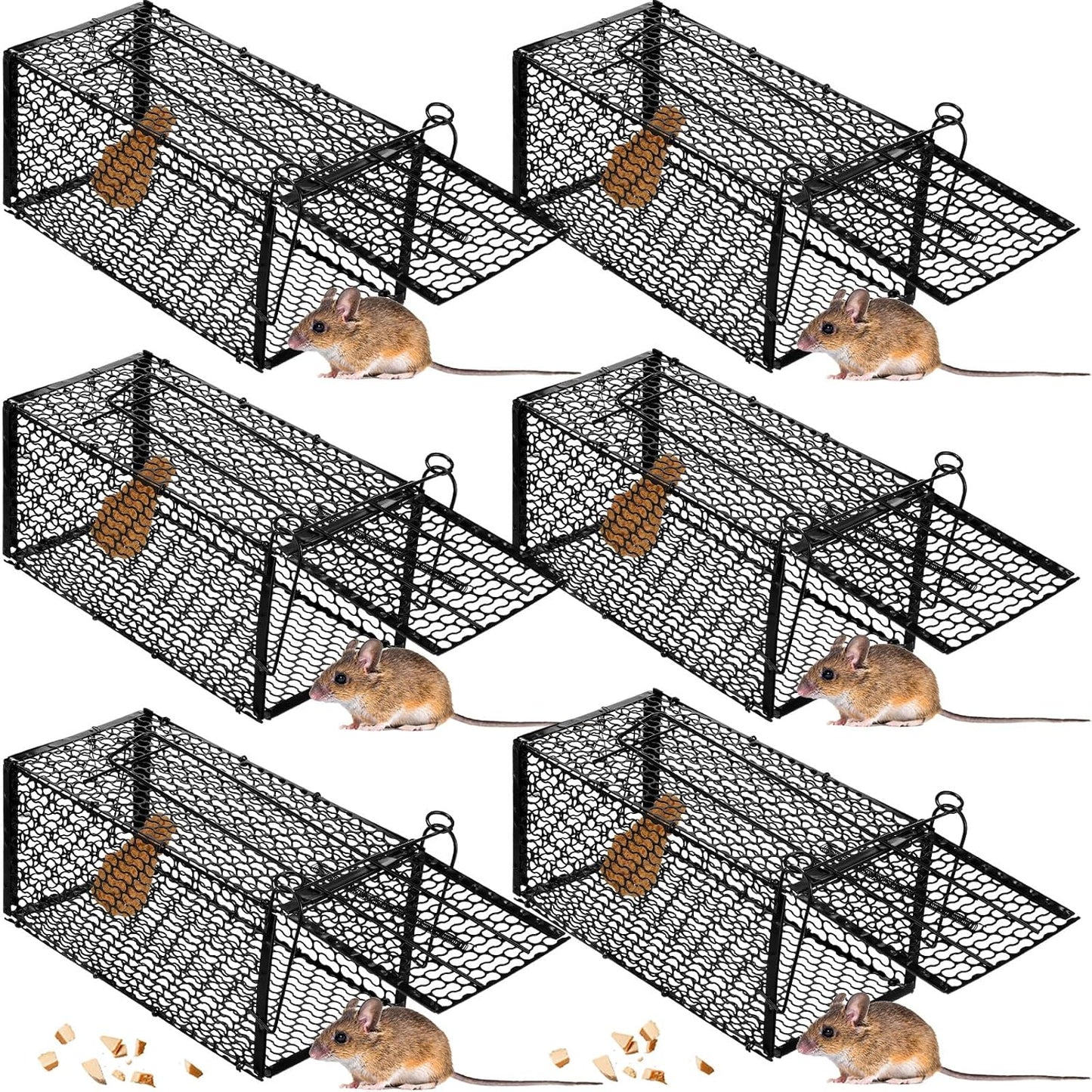 Humane Cage Rodent Trap Set (6-Piece) — Catch & Release W/O Harm- 10.6" x 5" x 5"