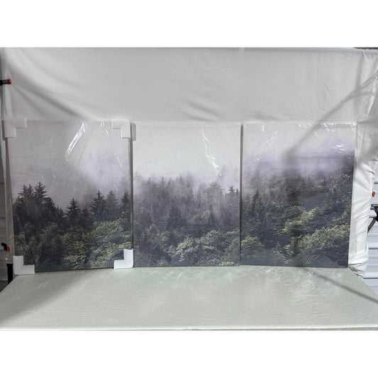 3-Piece Canvas Wall Art, Home decor– Multiple Designs, Brand New! $40 for 3 Set