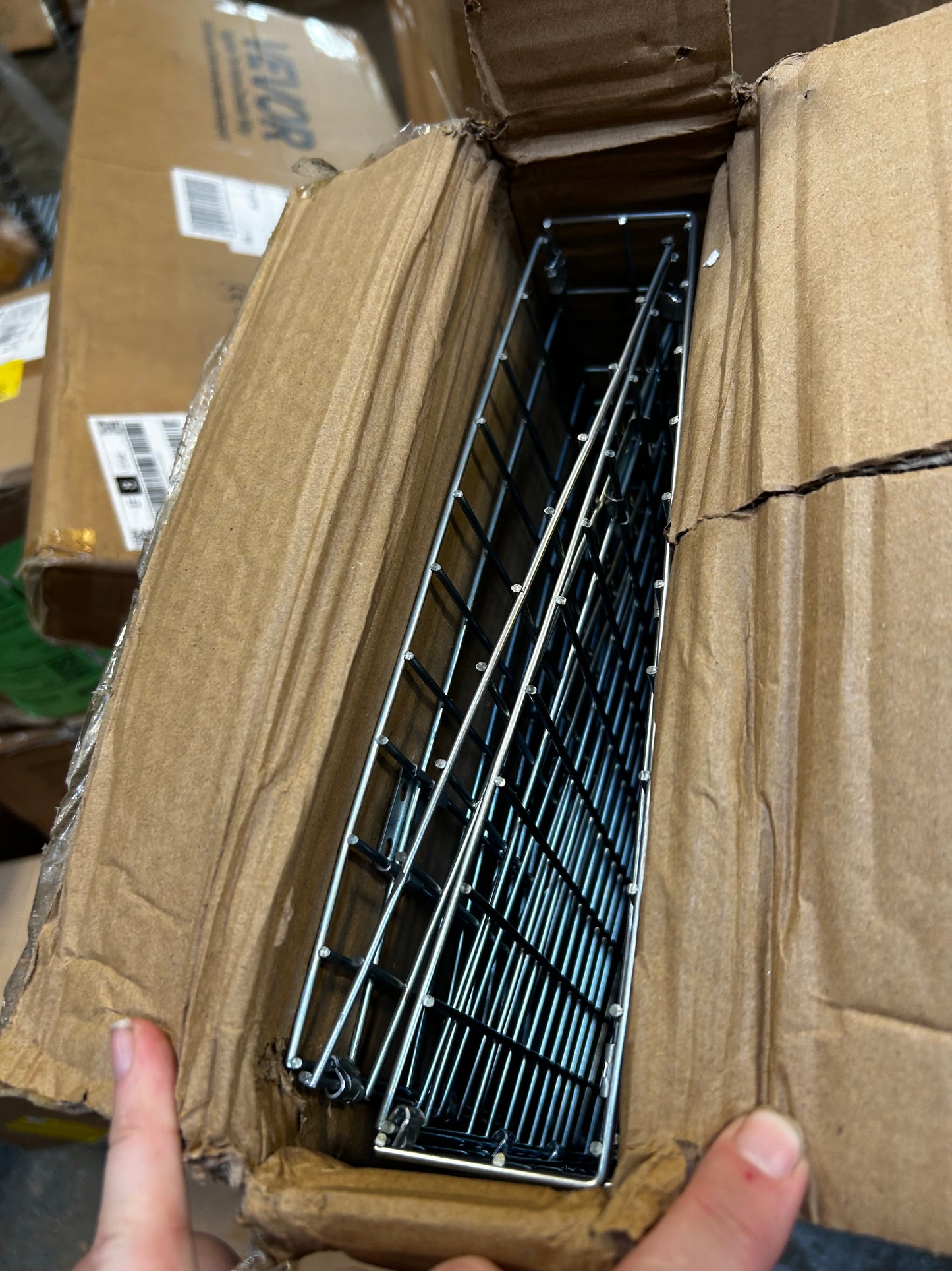 31-Inch Live Animal Cage Trap Galvanized Iron Folding Humane