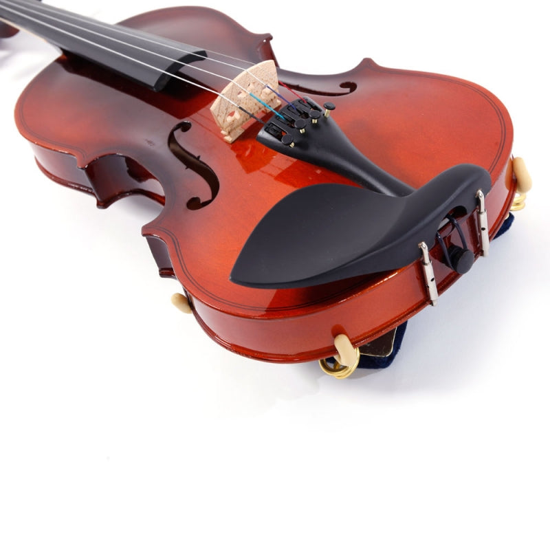 https://www.glarrymusic.com/thumb_image/product/1/1700/17001373/17001373_9_800_800.jpg?20180524032323