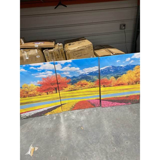 3-Piece Vibrant Landscape Canvas Set – Brand New
