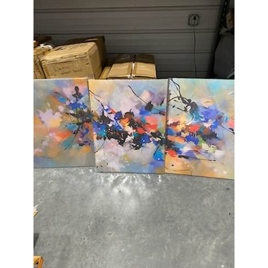 3-Piece Abstract Color Burst Canvas Set – Brand New
