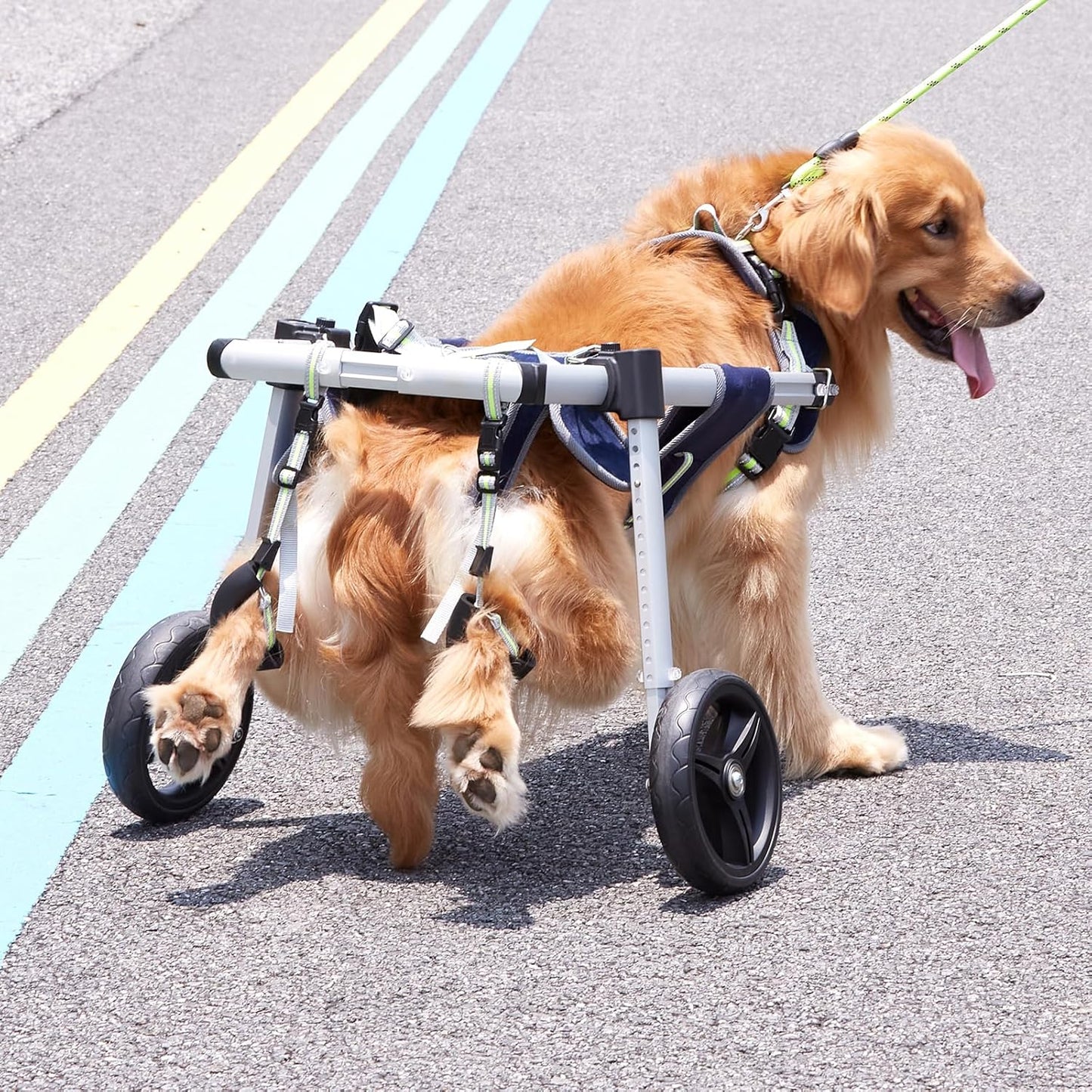 2-Wheel Dog Wheelchair