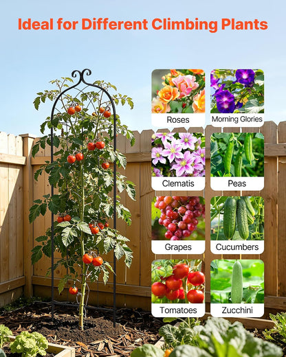 Garden Trellis 71 x 20 Inch Rose Trellis 4 Packs