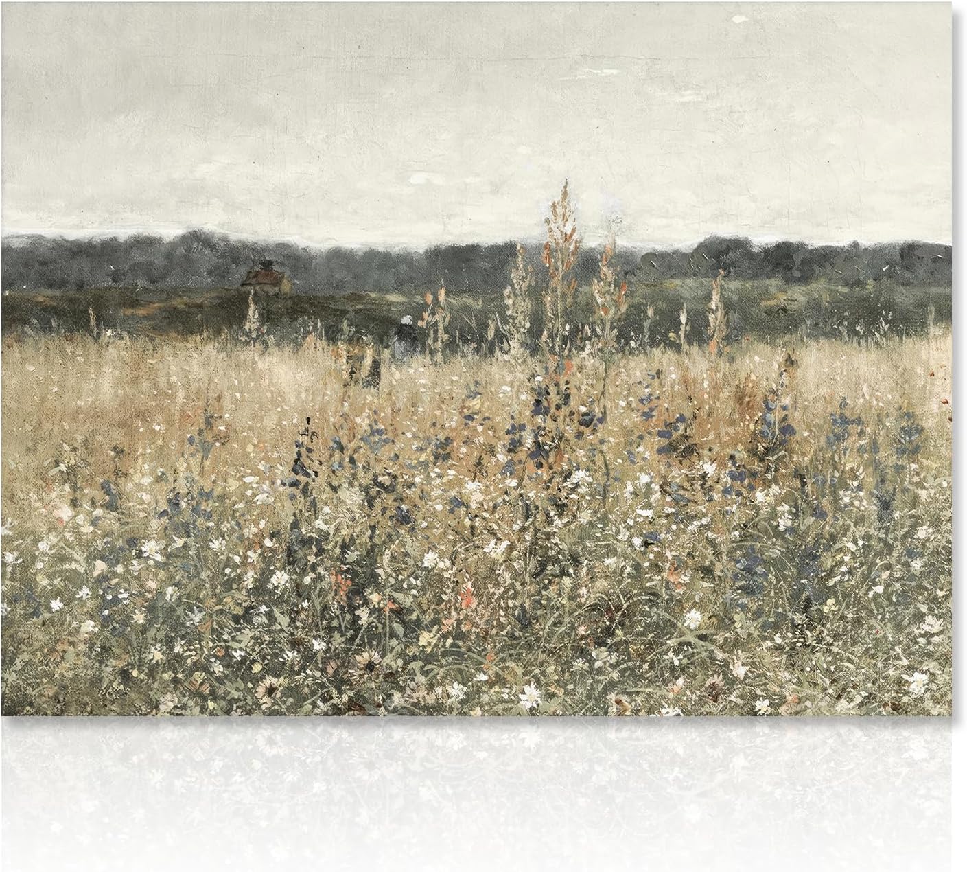 Canvas Photos