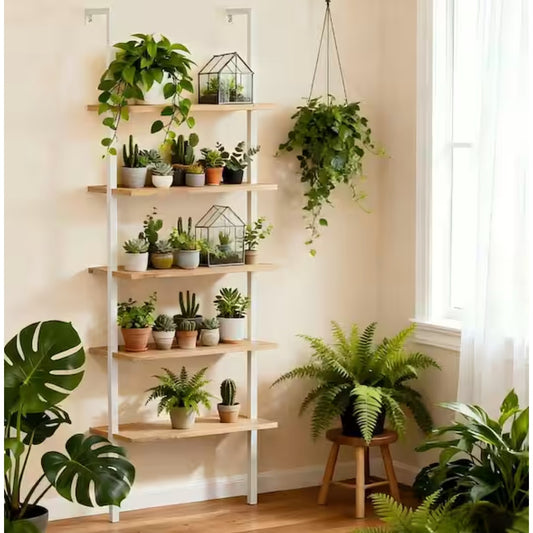 NEW Modern 5 Shelf Bookcase / Display Shelf