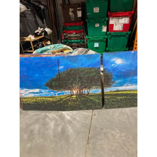 3-Piece Lone Tree Landscape Canvas Set – Brand New
