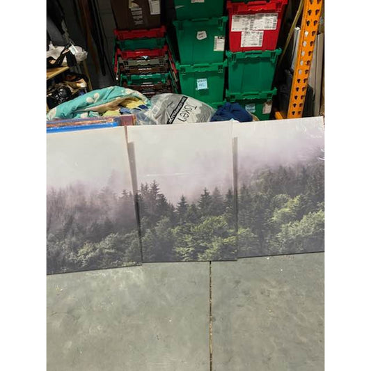 3-Piece Misty Forest Canvas Set – Brand New