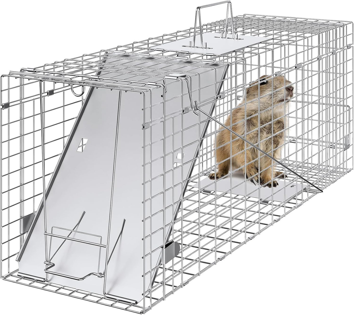31-Inch Live Animal Cage Trap Galvanized Iron Folding Humane
