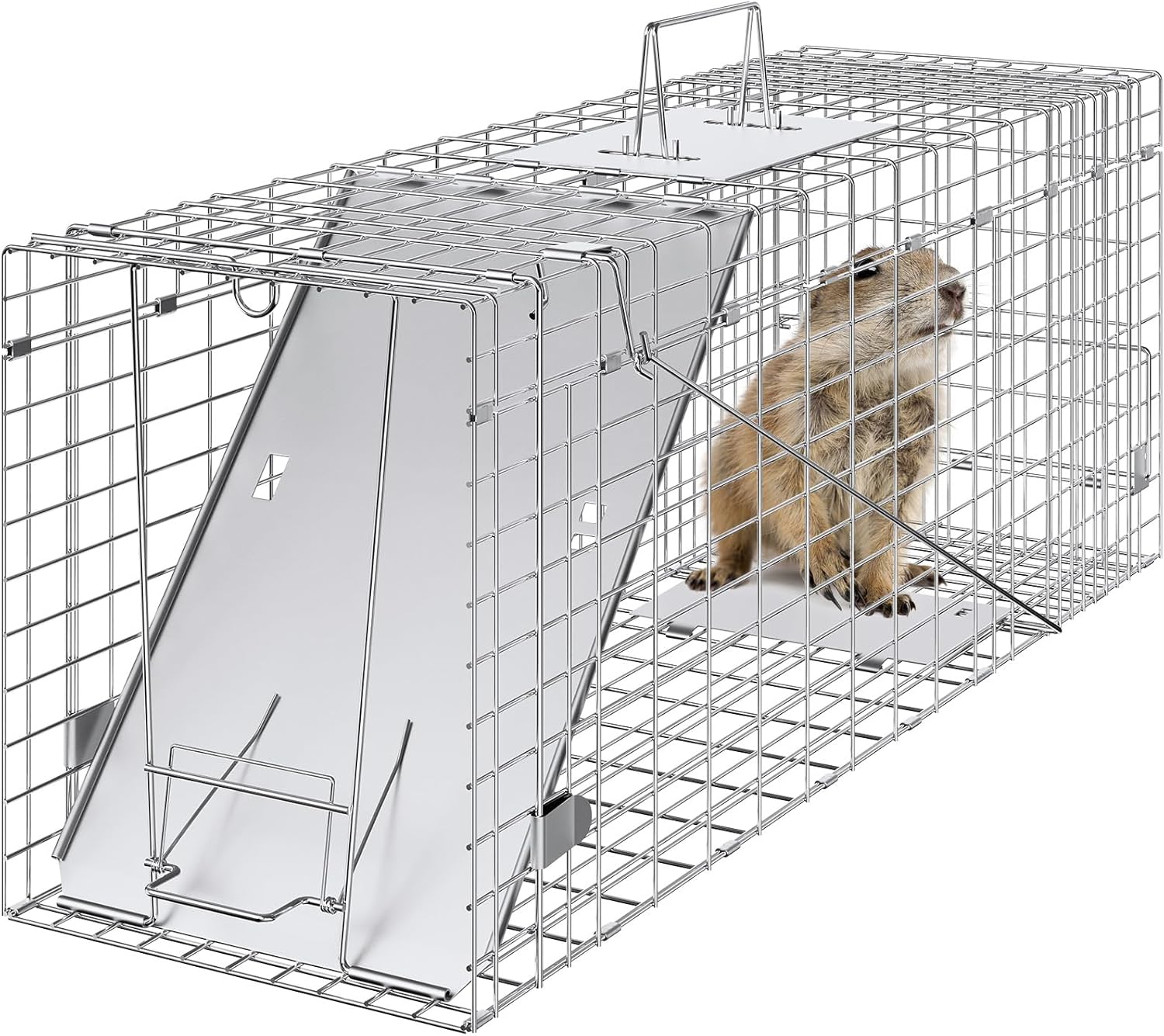31-Inch Live Animal Cage Trap Galvanized Iron Folding Humane