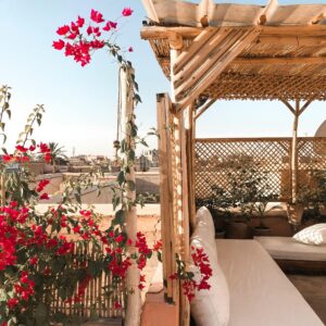 Outdoor & Garden
